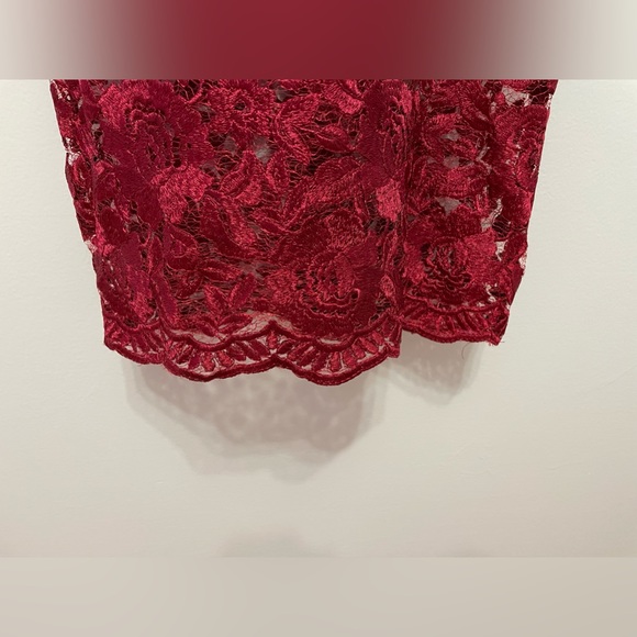 XScape Formal Red Lace Dress - Picture 4 of 7